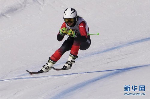（全冬会）（9）高山滑雪——女子滑降比赛赛况