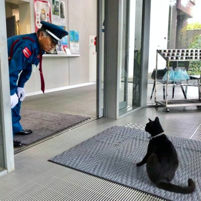 2019年4月，黑猫“ken”与警卫大叔正在“对峙”中。（图片来源：朝日新闻网站）