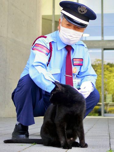 时隔两个月，再次见面的黑猫“ken”与警卫大叔。（图片来源：朝日新闻网站）