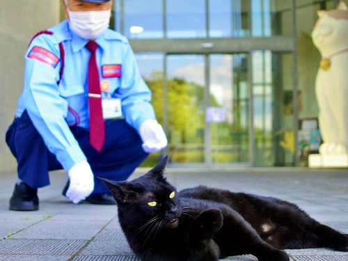 时隔两个月，再次见面的黑猫“ken”与警卫大叔。（图片来源：朝日新闻网站）