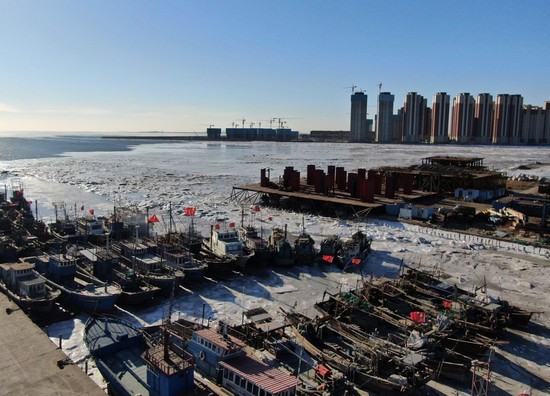 中心渔港鲤鱼门附近岸边结起了海冰