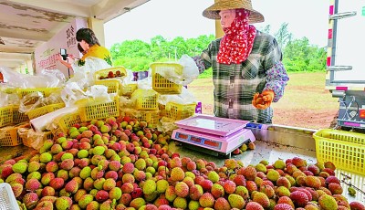 【奋进新征程 建功新时代·老区新貌】琼崖革命老区 传承精神写新篇