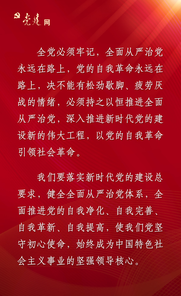 二十大报告中，总书记这样谋划和部署党的建设新的伟大工程2