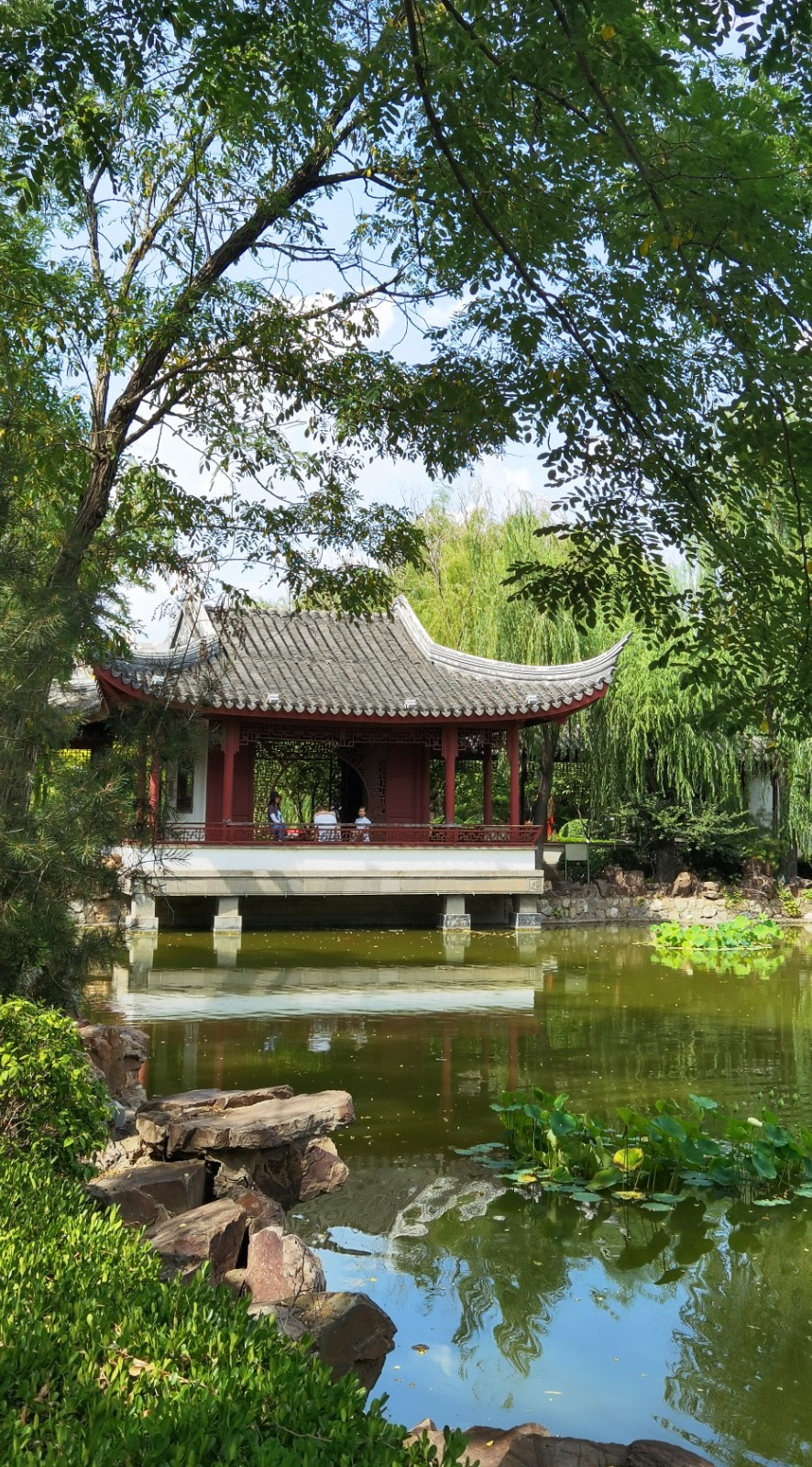 津滨海讯（记者 戈荣喜 摄影报道）6月15日，持续雷阵雨过后，滨海新区迎来晴好天气，处处风光绮丽，滨海新区核心区的河滨公园在蓝天白云映衬下更为秀美。