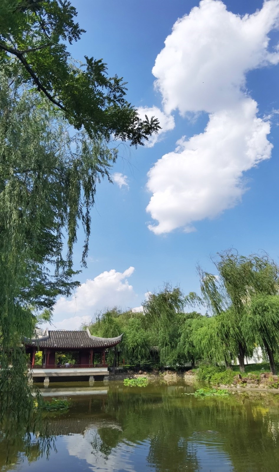 津滨海讯（记者 戈荣喜 摄影报道）6月15日，持续雷阵雨过后，滨海新区迎来晴好天气，处处风光绮丽，滨海新区核心区的河滨公园在蓝天白云映衬下更为秀美。