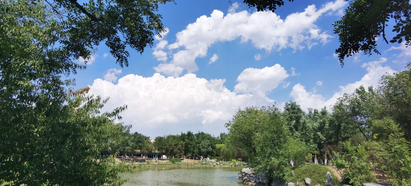 津滨海讯（记者 戈荣喜 摄影报道）6月15日，持续雷阵雨过后，滨海新区迎来晴好天气，处处风光绮丽，滨海新区核心区的河滨公园在蓝天白云映衬下更为秀美。