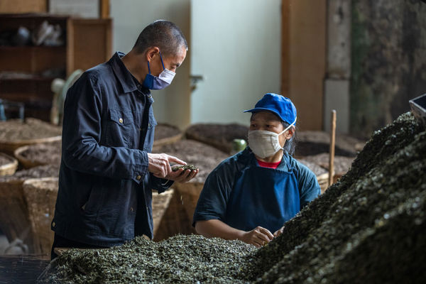 川藏线日记|一碗藏茶见证古道之变