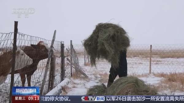 请点击图片查看视频